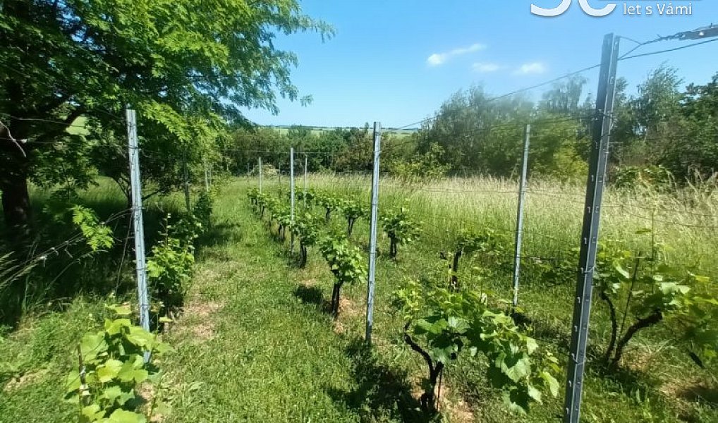 Prodej stavebního pozemku 1 584 m², Čeložnice – náhled fotky 10