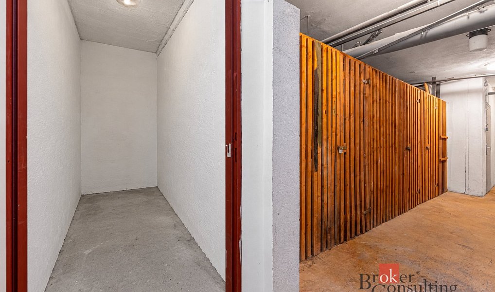 Prodej bytu 3+kk 70 m², Praha – náhled fotky 17