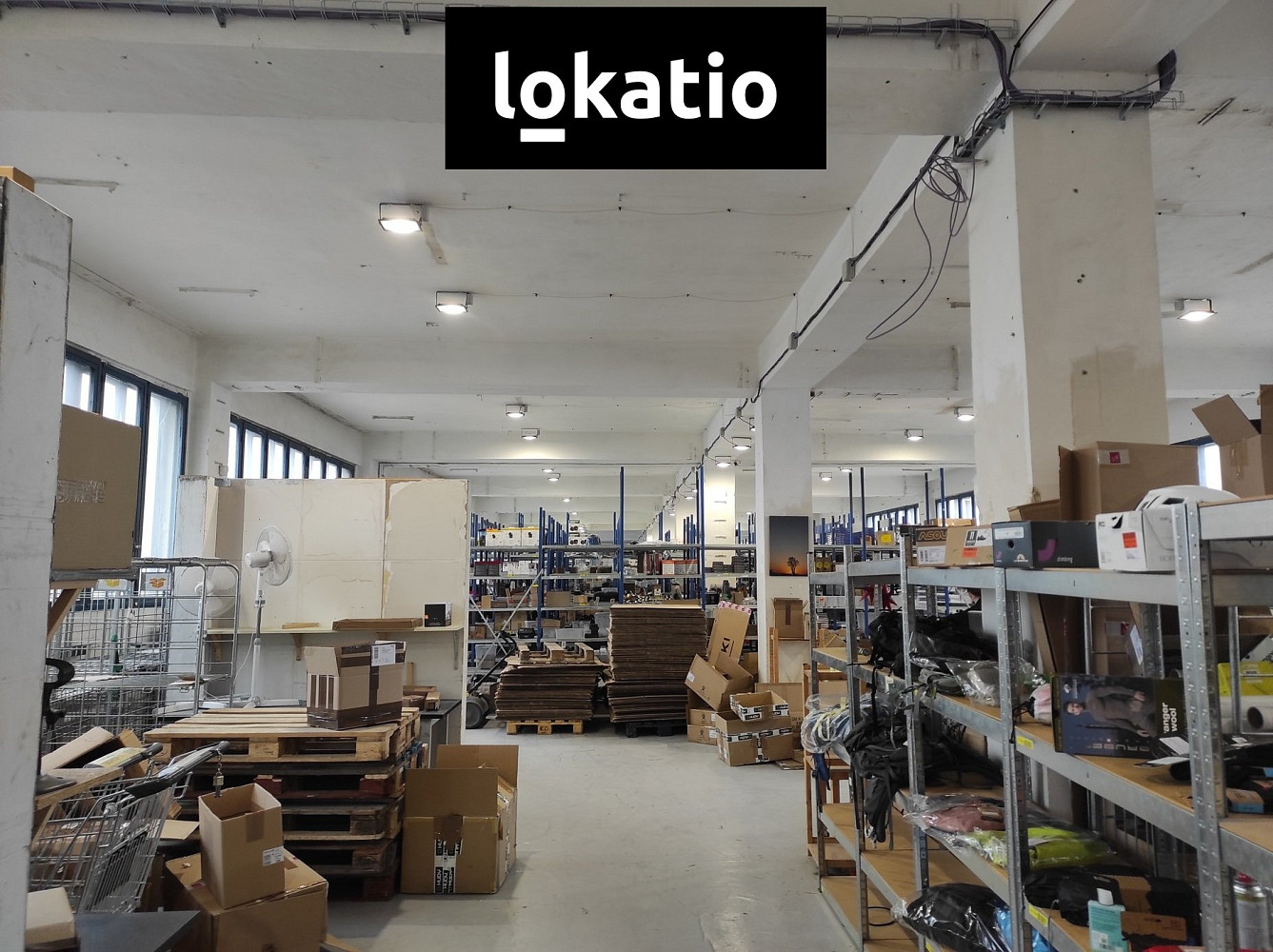 Pronájem skladovacích prostor 715 m² — photo 4
