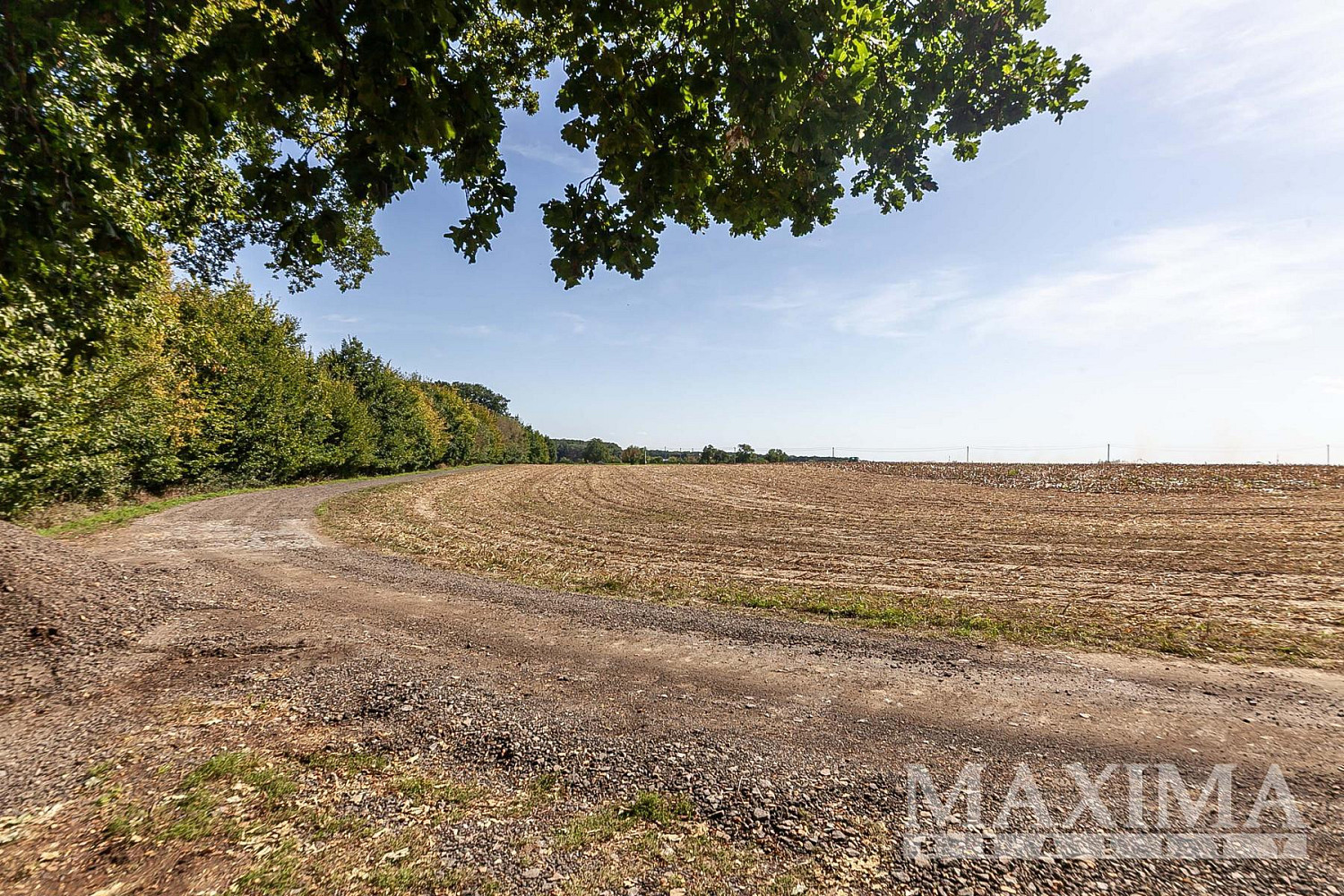 Prodej pole 3 636 m² – fotografie 4