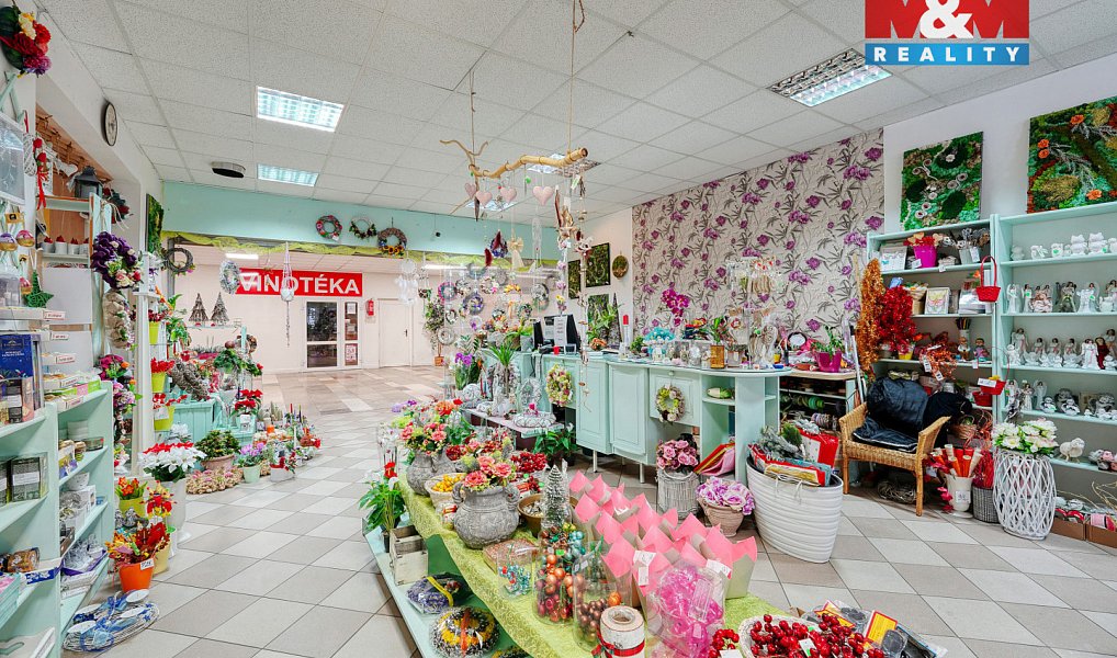 Pronájem obchodních prostor 133 m², Třemošná – náhled fotky 16
