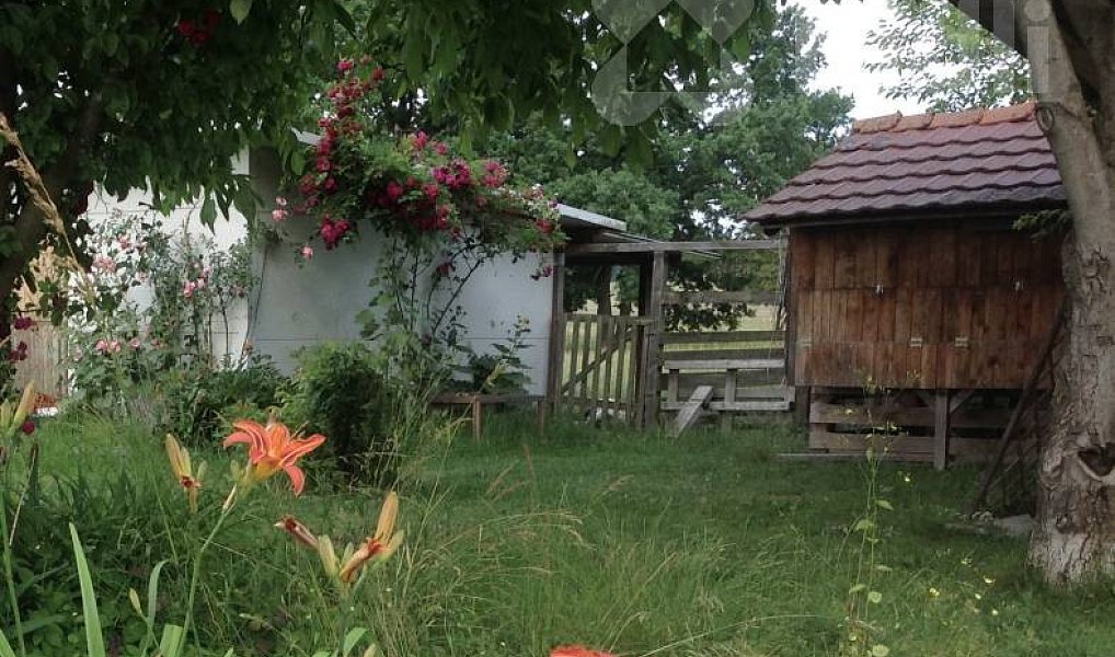 Prodej domu 121 m² s pozemkem 4 485 m², Veliny – náhled fotky 5