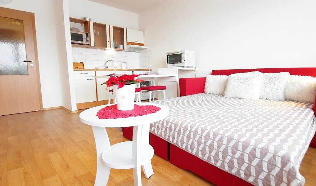 Pronájem bytu 1+kk 38 m², Brno – náhled fotky 3