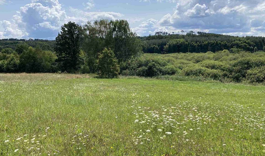Prodej pole 55 481 m², Lhenice – náhled fotky 4