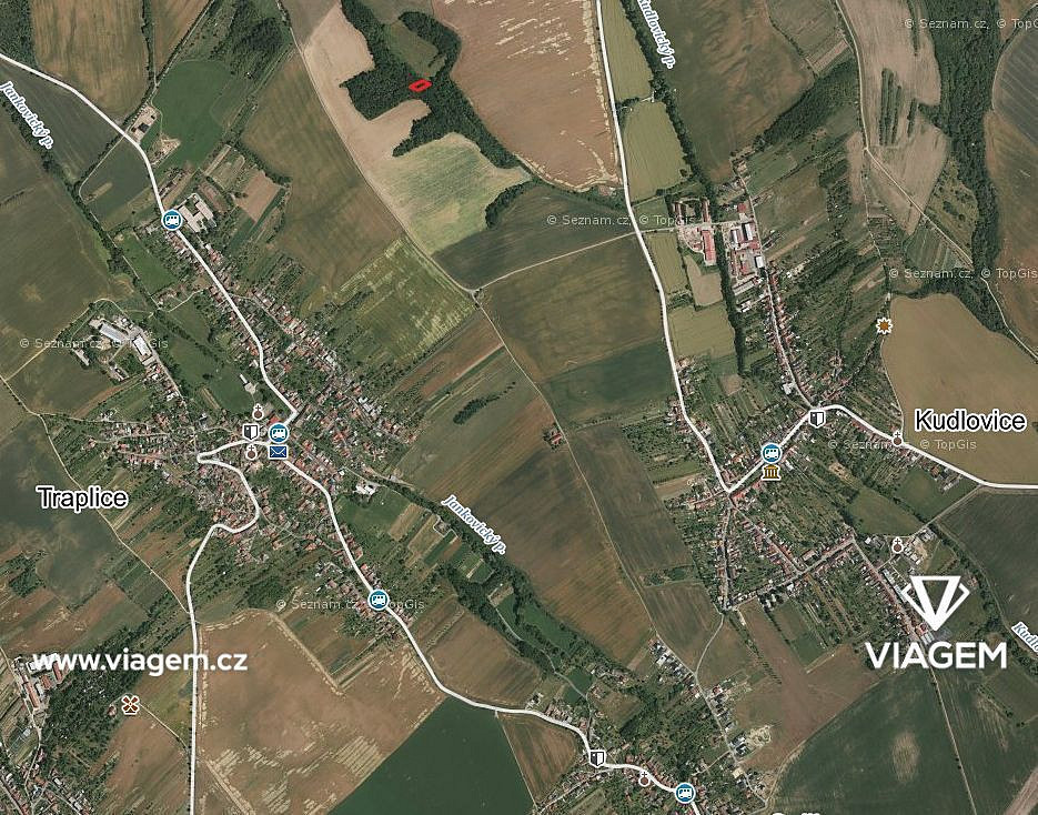 Prodej lesa 316 m²