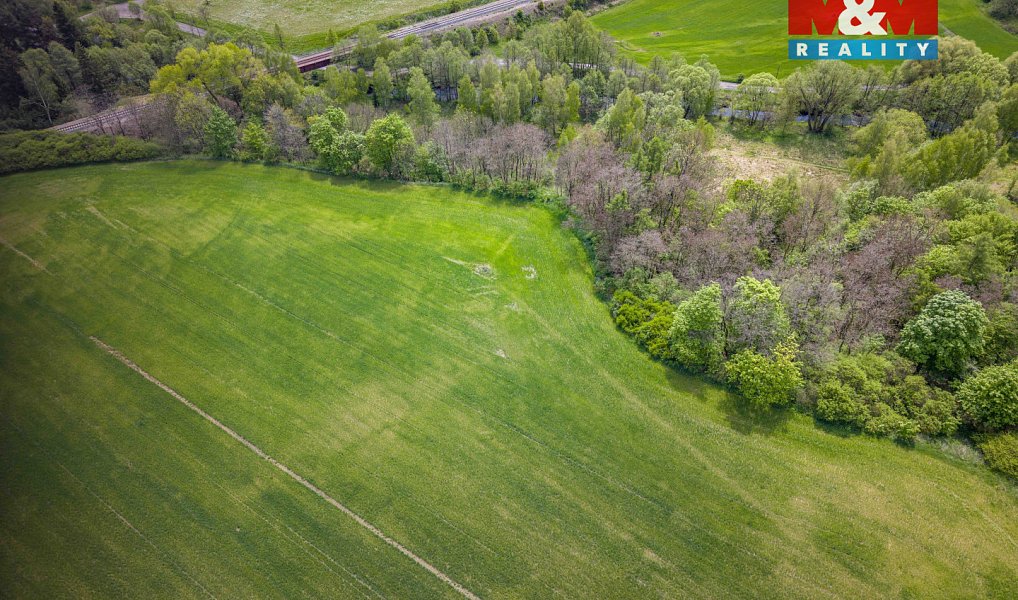 Prodej lesa 909 m², Trhové Dušníky – náhled fotky 2