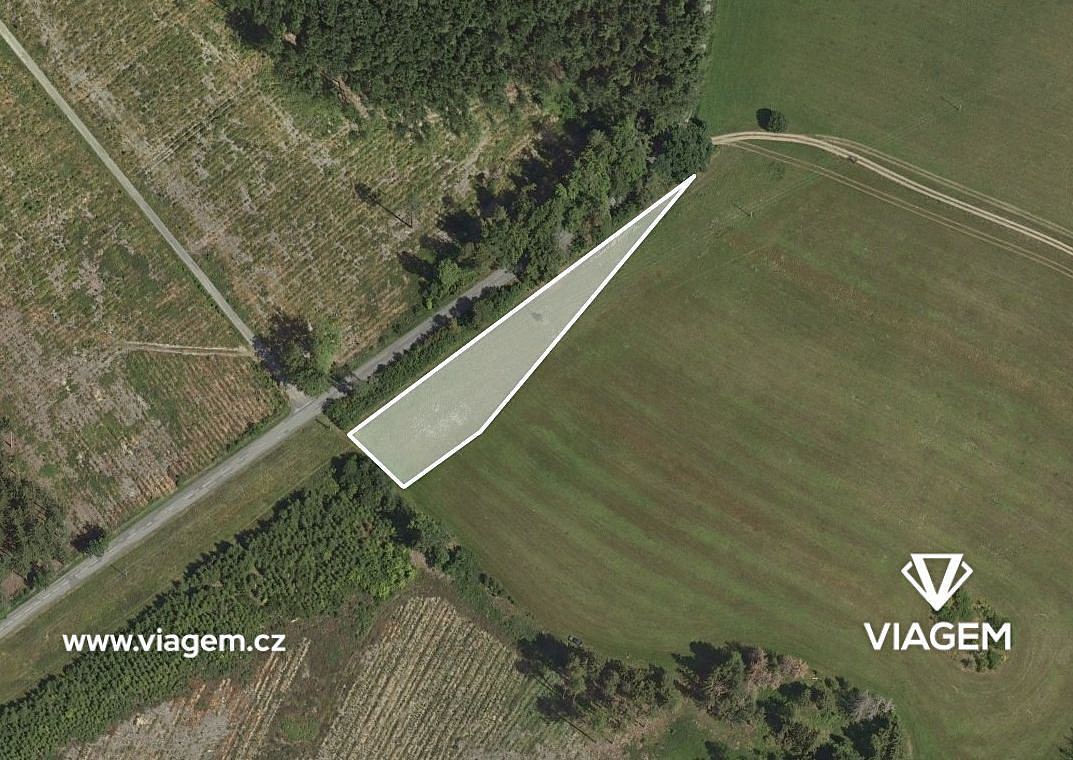 Prodej pole 4 301 m²