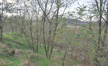 Prodej zahrady 10 731 m², Bechlín, okres Litoměřice