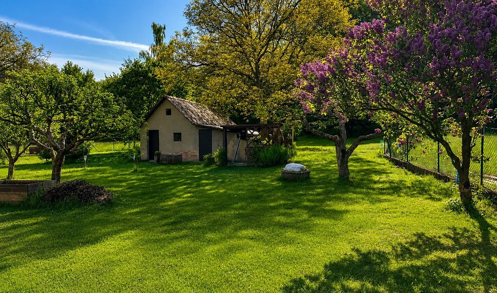 Prodej domu 177 m² s pozemkem 1 568 m², Žulová – náhled fotky 11