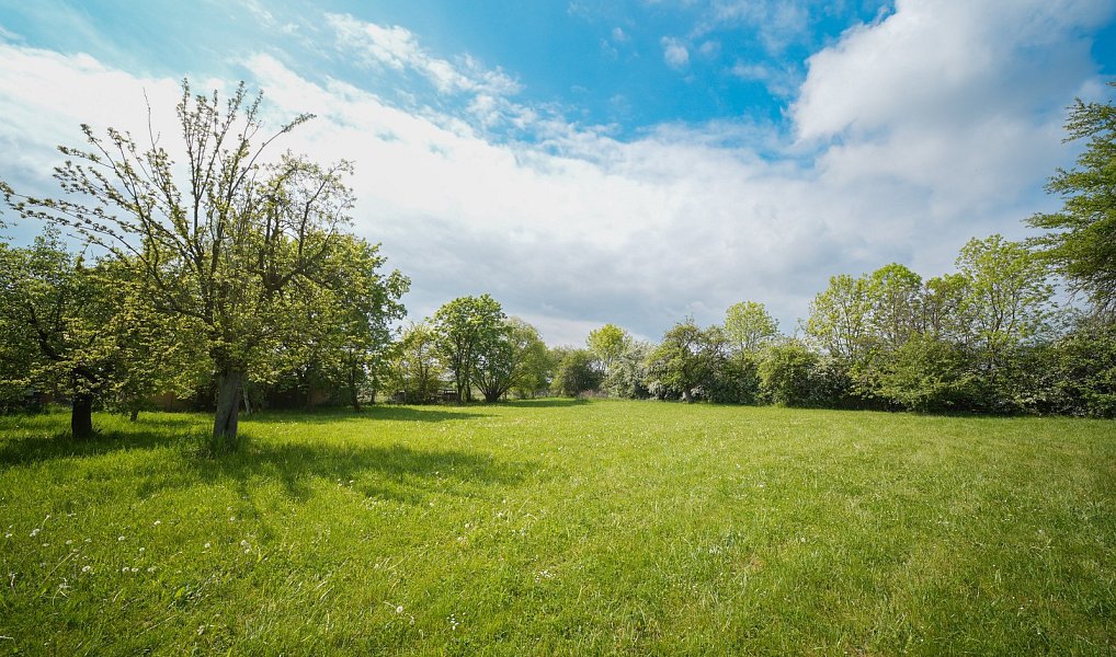 Prodej stavebního pozemku 5 013 m², Praskačka – náhled fotky 4