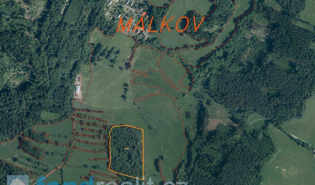 Prodej pole 35 381 m², Přimda – náhled fotky 6