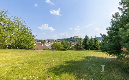 Prodej stavebního pozemku 2 868 m², Letovice, okres Blansko