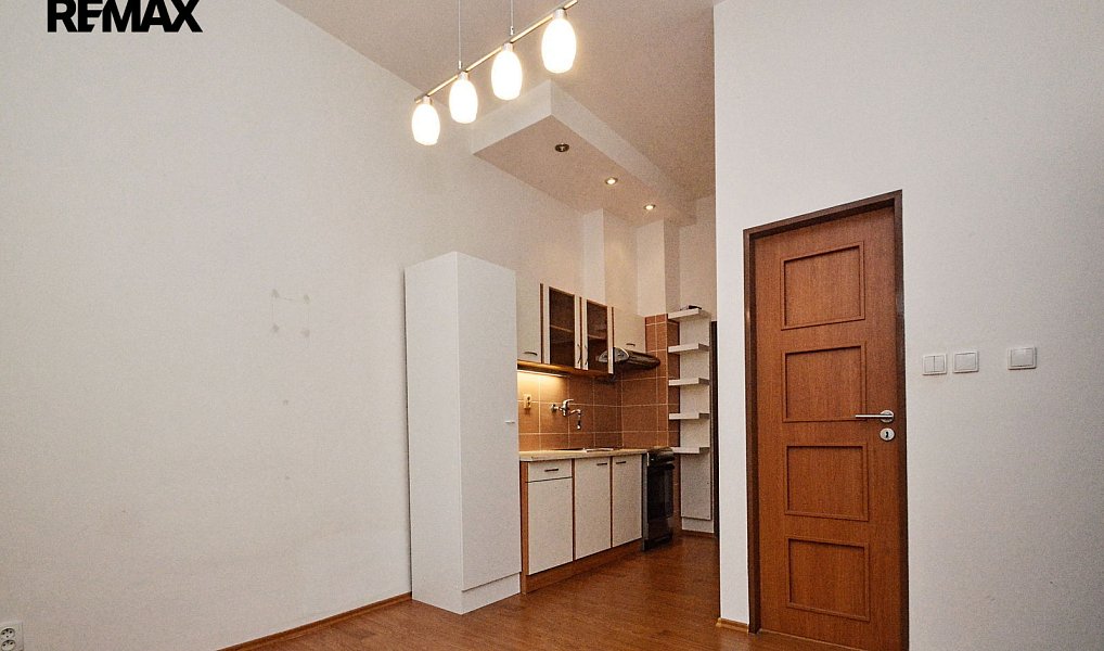 Pronájem bytu 1+1 44 m², Plzeň – náhled fotky 2