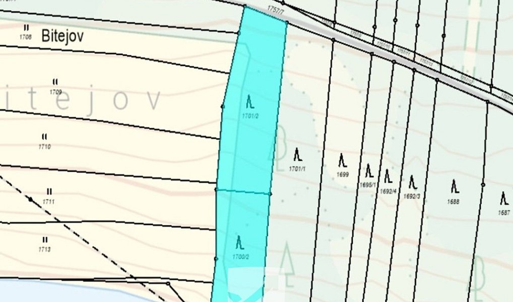 Prodej lesa 1 726 m², Chrášťany – náhled fotky 4