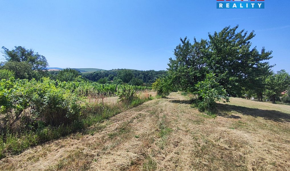 Prodej domu 120 m² s pozemkem 2 878 m², Blatnice pod Svatým Antonínkem – náhled fotky 10