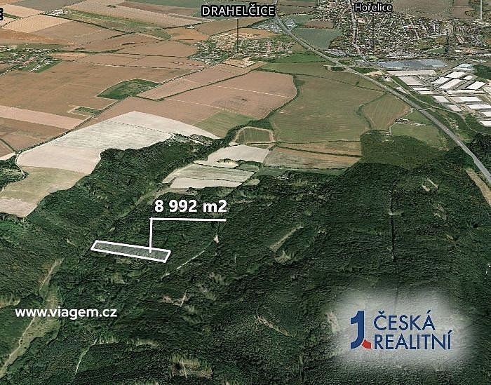 Prodej lesa 3 372 m² – fotografie 2