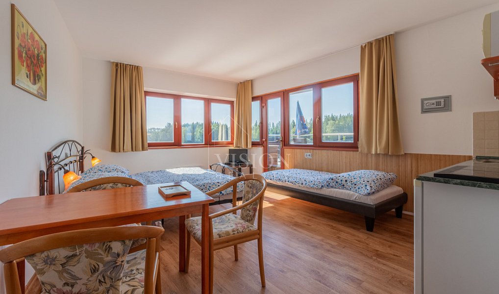 Prodej ubytovacího objektu 300 m², Blažejov – náhled fotky 20