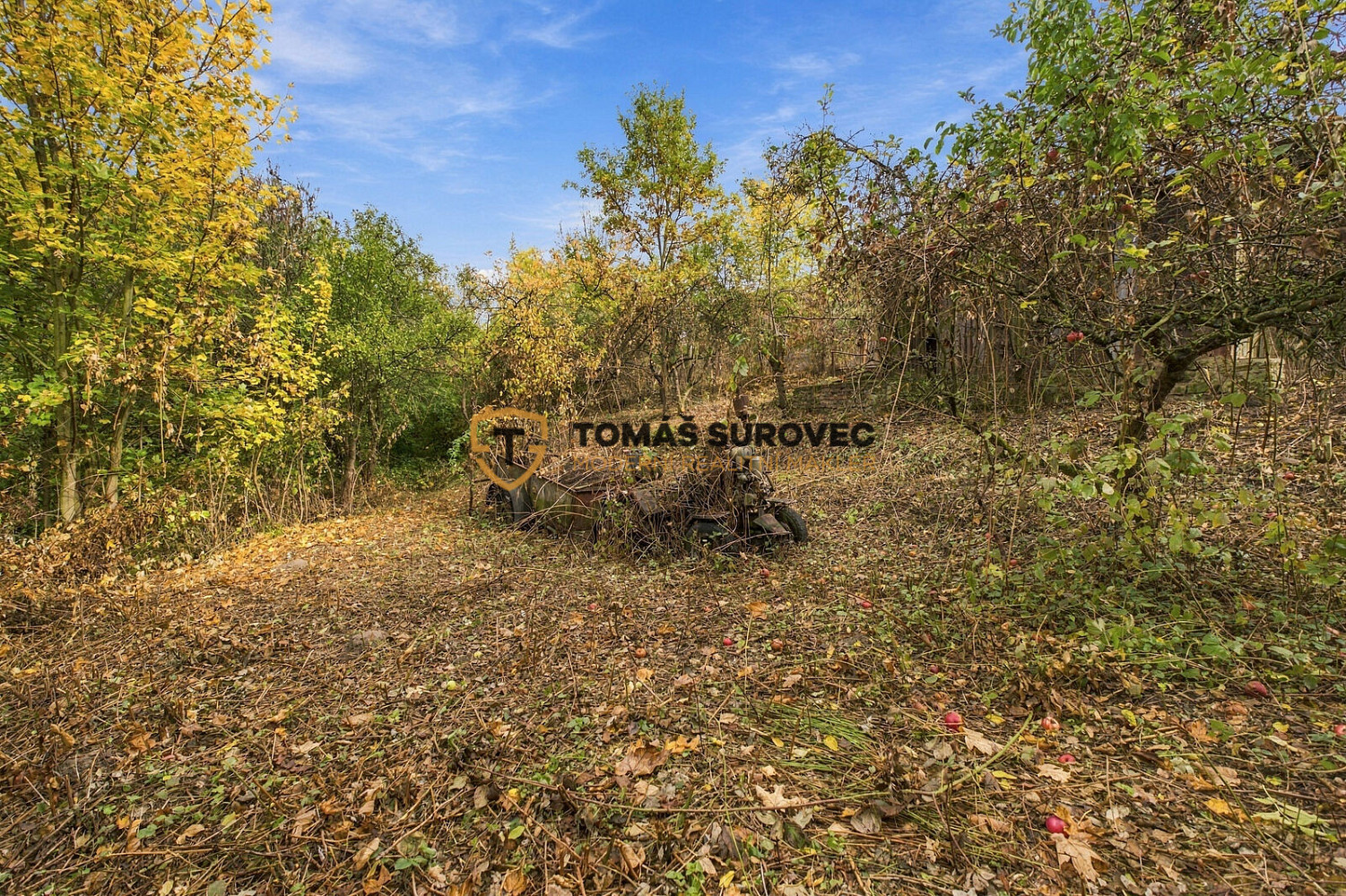 Fotka 4 z 11