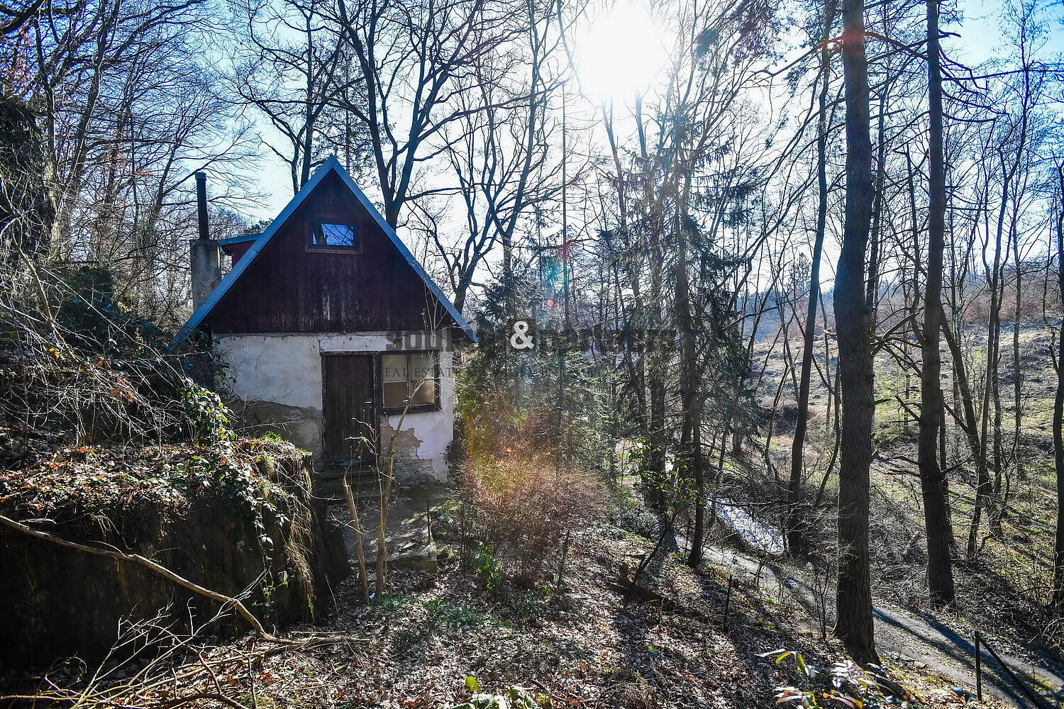 Fotka 6 z 20