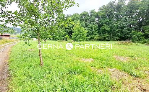 Prodej zahrady 2 294 m², Chlumec - Stradov, okres Ústí nad Labem