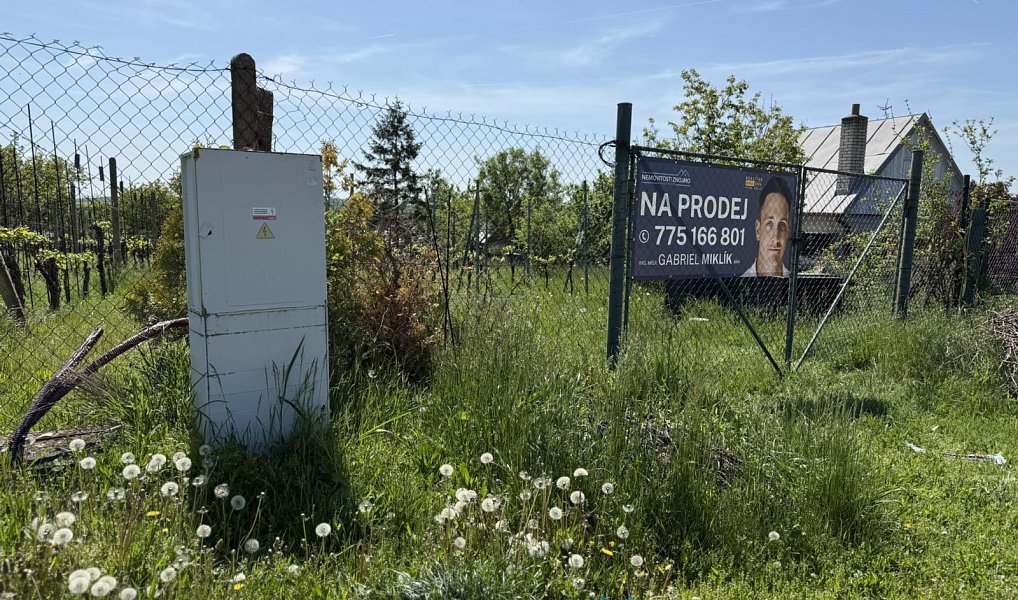 Prodej zahrady 879 m², Dobšice – náhled fotky 5