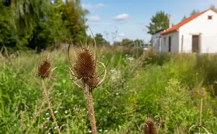 Prodej zahrady 1 202 m², Břeclav