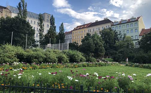 Pronájem bytu 2+kk 42 m², Bořivojova, Praha 3 - Vinohrady