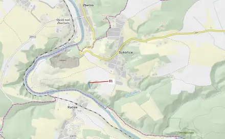 Dražba lesa 1 816 m², Račice