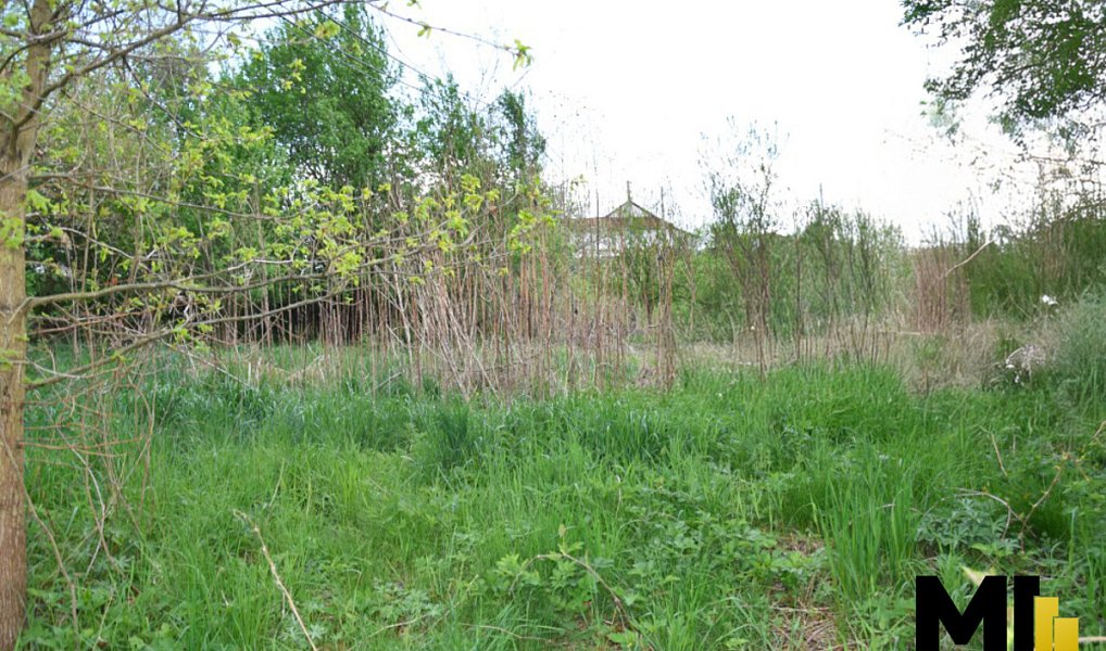 Prodej stavebního pozemku 4 941 m², Polom – náhled fotky 4
