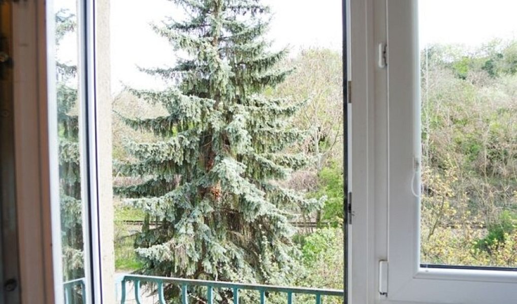 Pronájem bytu 2+1 60 m², Praha – náhled fotky 13