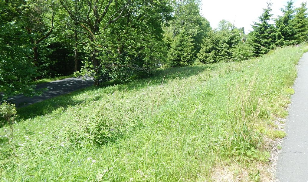 Prodej zahrady 876 m², Vejprty – náhled fotky 20