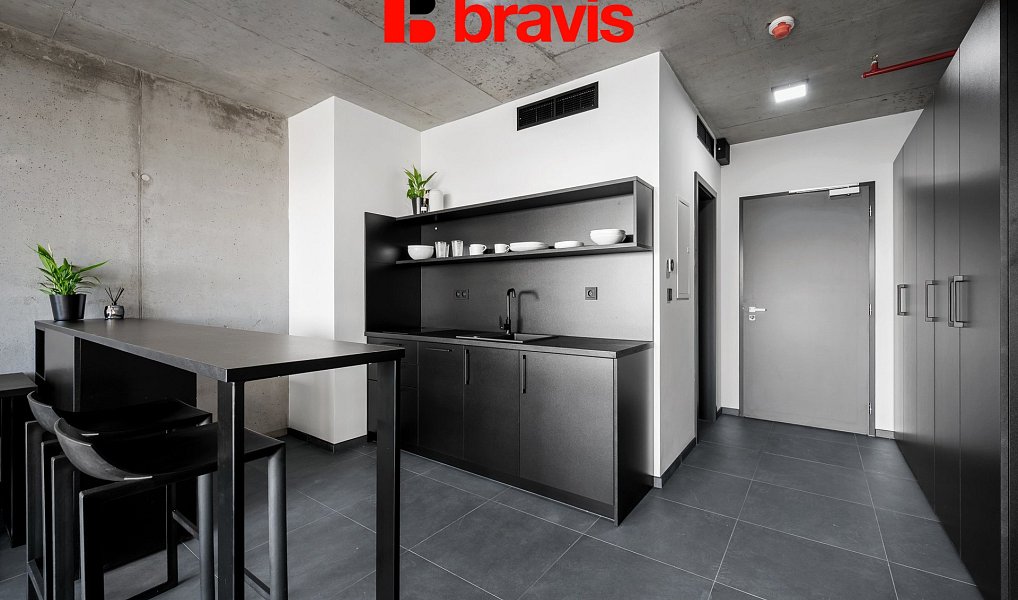 Pronájem bytu 1+kk 38 m², Brno – náhled fotky 8