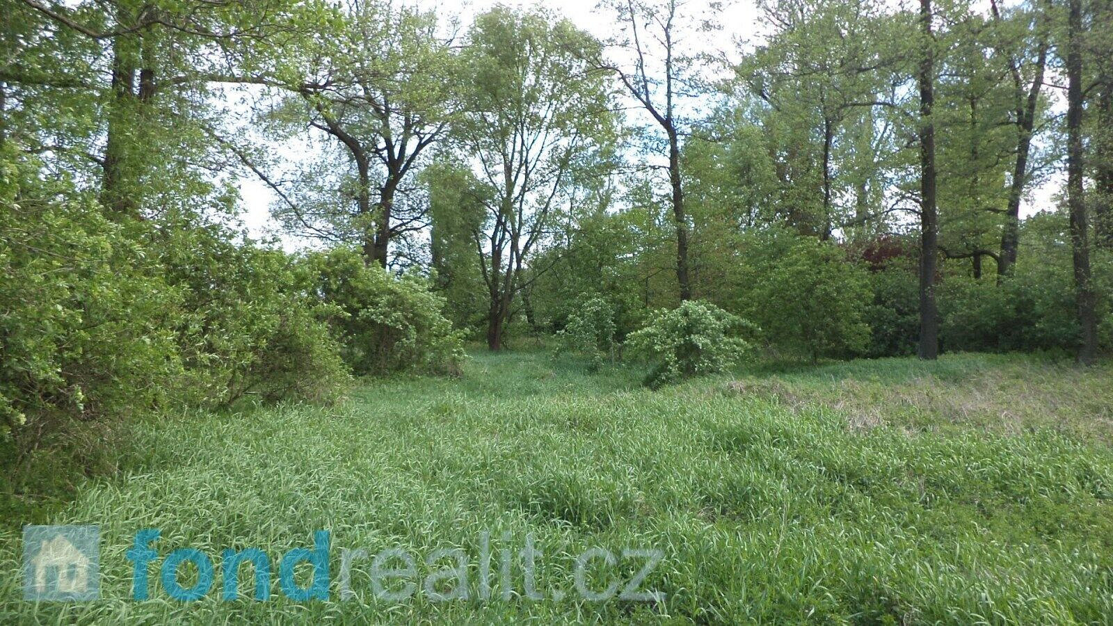 Prodej pozemku 1 844 m² – fotografie 3