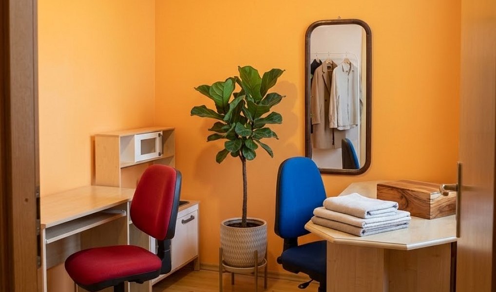 Prodej bytu 4+1 78 m², Český Těšín – náhled fotky 6