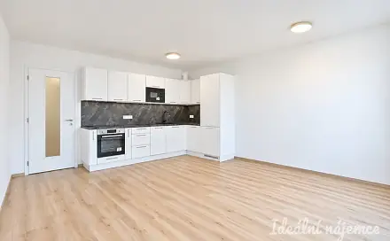 Pronájem bytu 1+kk 42 m²