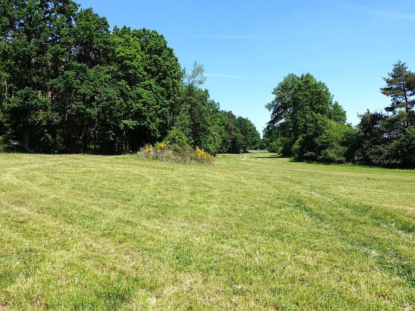 Prodej pole 3 292 m² — photo 4