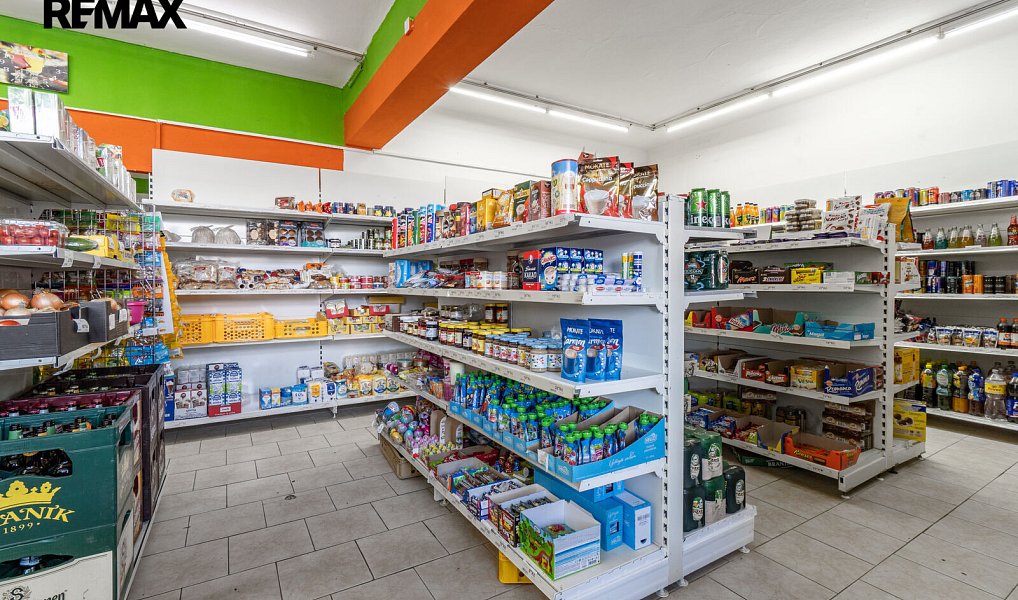 Prodej nájemního domu, činžáku 897 m², Bojanovice – náhled fotky 19