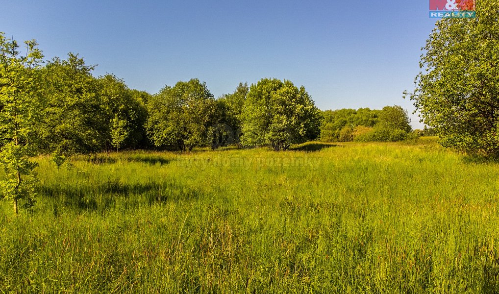 Prodej pole 124 828 m², Krásná Lípa – náhled fotky 4