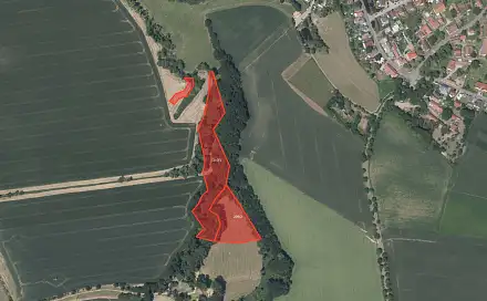 Prodej lesa 20 538 m², Nupaky, okres Praha-východ