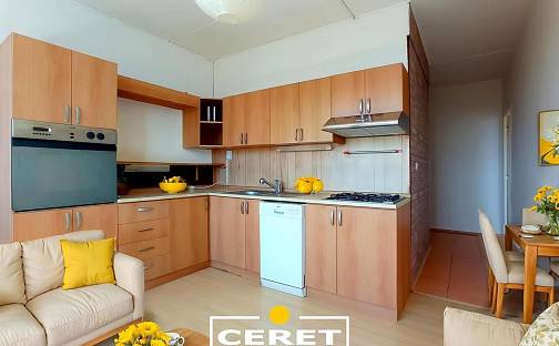 Prodej bytu 2+1 52 m², Svahová, Chomutov