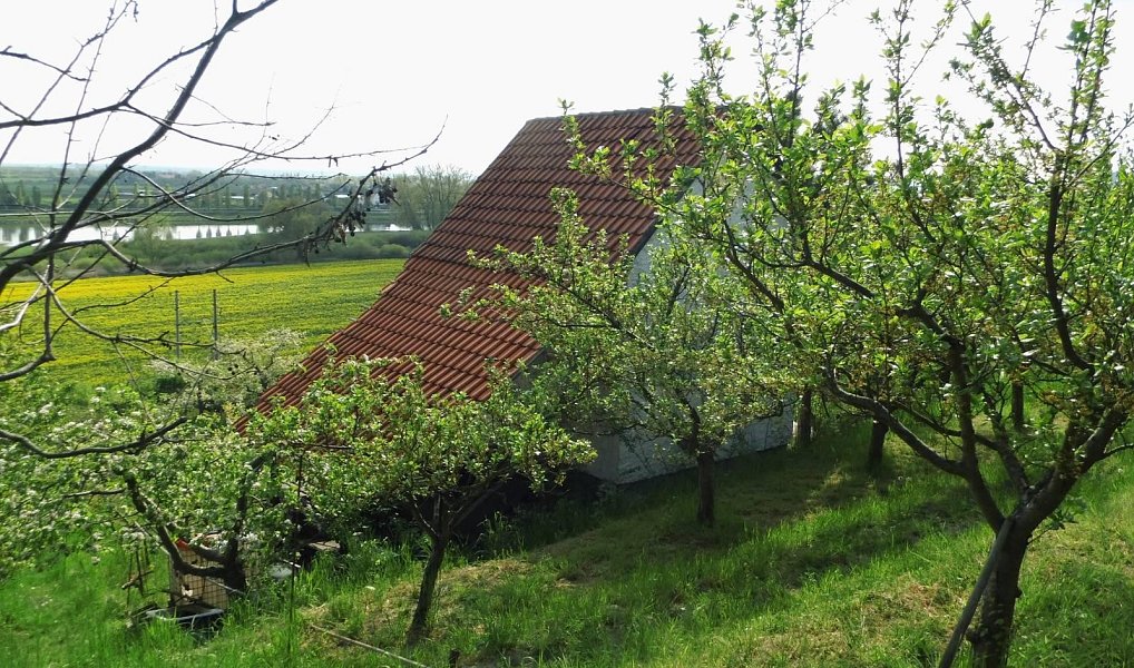Prodej domu 43 m² s pozemkem 1 412 m², Trnovany – náhled fotky 3