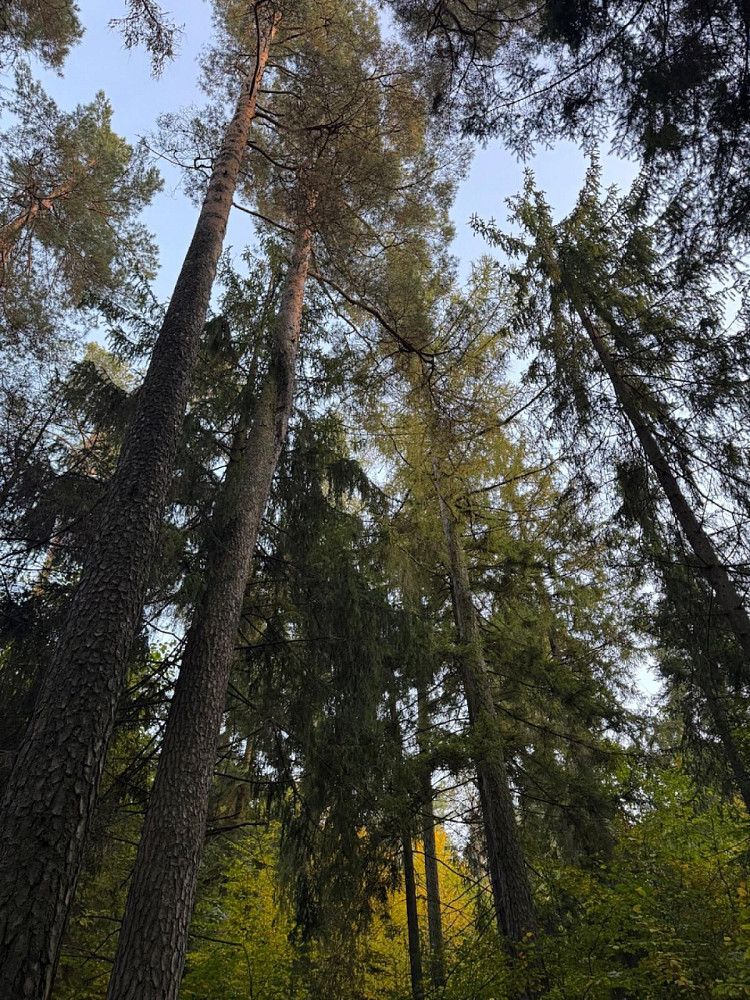 Fotka 6 z 11