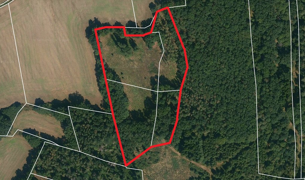 Prodej lesa 19 204 m², Skály – náhled fotky 2