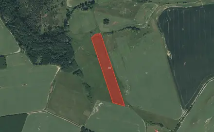 Prodej louky 15 801 m², Lhůta, okres Plzeň-město