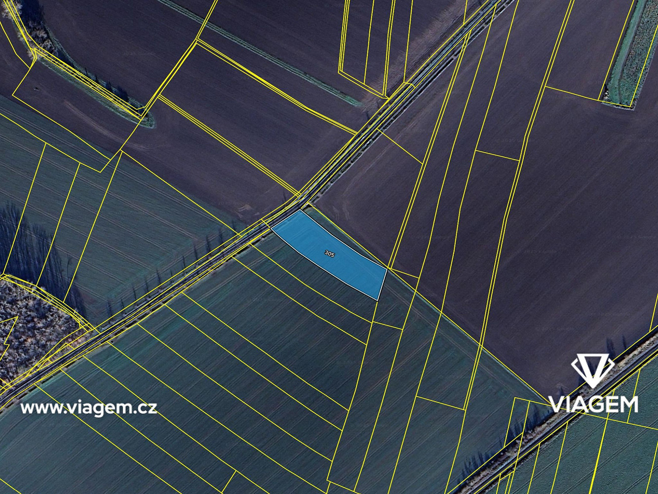 Prodej pole 1 261 m² – fotografie 4