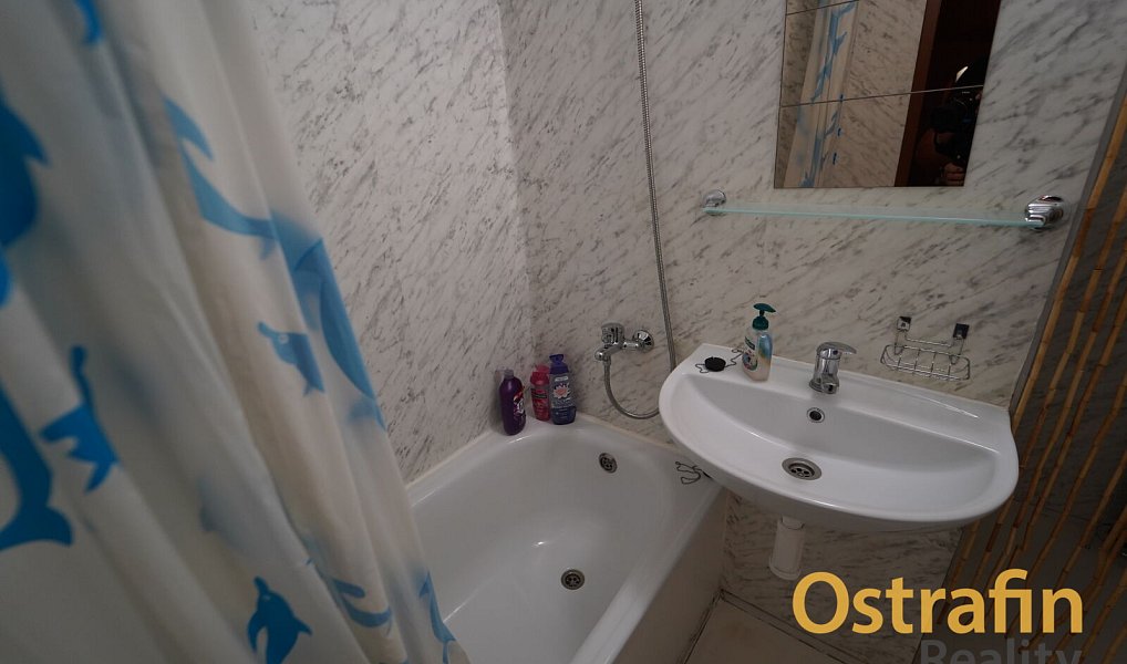 Prodej bytu 2+1 43 m², Ostrava – náhled fotky 8