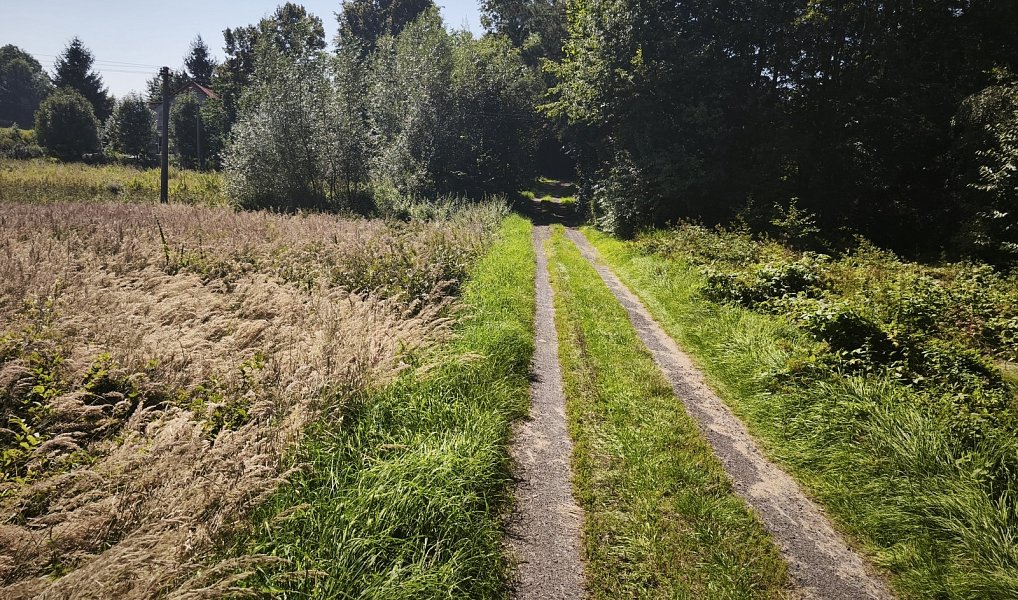 Prodej stavebního pozemku 7 776 m², Varnsdorf – náhled fotky 11