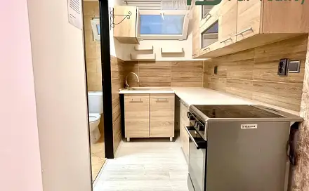 Pronájem bytu 1+1 50 m², Bělušice, okres Kolín