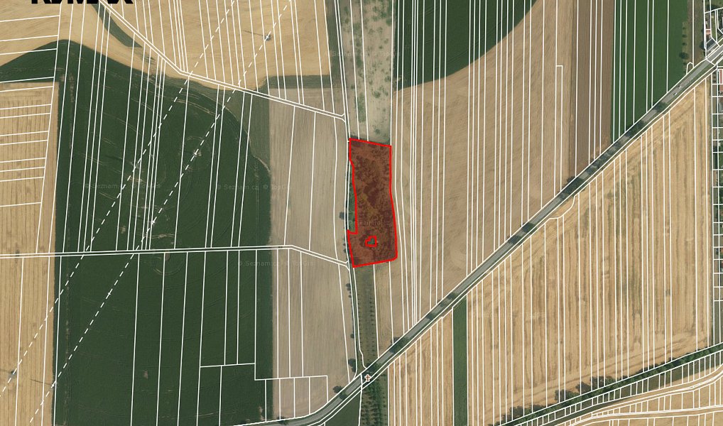 Prodej zahrady 9 203 m², Němčany – náhled fotky 5