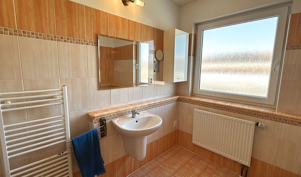 Prodej domu 125 m² s pozemkem 61 m², Rudná – náhled fotky 18